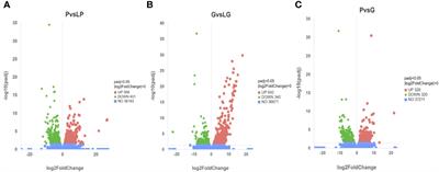 Transcriptome analysis of purple and green Apostichopus japonicus reared under different breeding environments